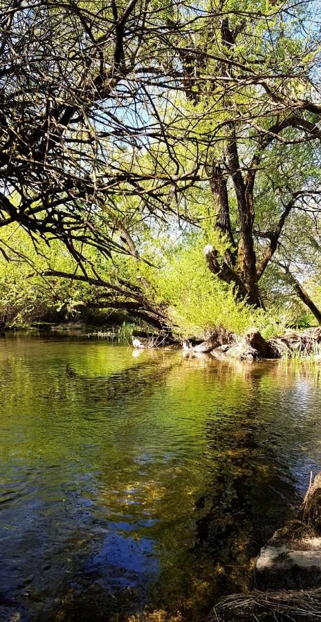 Кемпинги Riverside camp Никшич-10