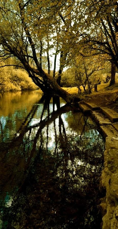 Кемпинги Riverside camp Никшич-11