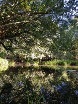Кемпинги Riverside camp Никшич-2