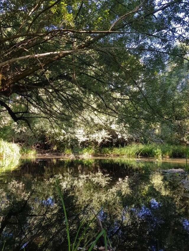 Кемпинги Riverside camp Никшич-5